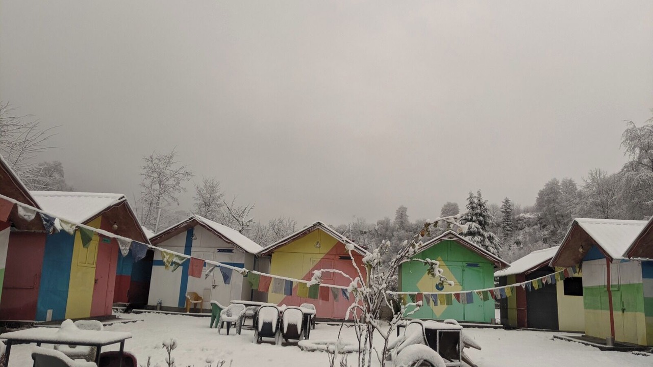 Photo of Others in Manali