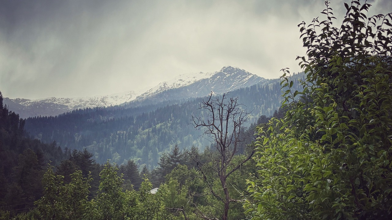 Photo of Others in Manali
