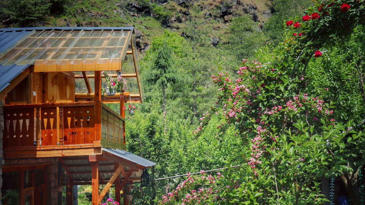Photo of Outdoor in Manali