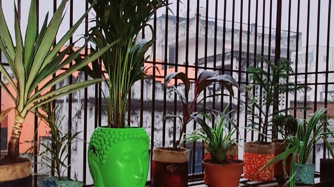 Photo of Outdoor in Mahmoorganj