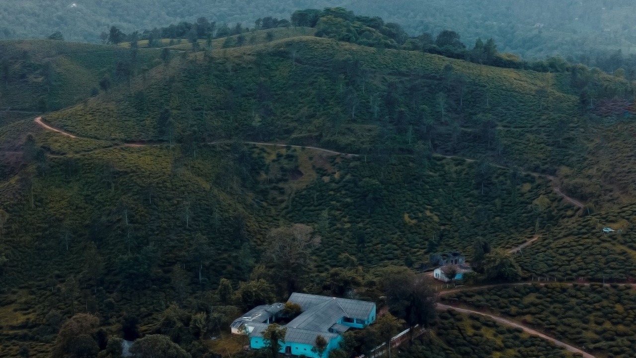 Photo of Outdoor in Vayittiri