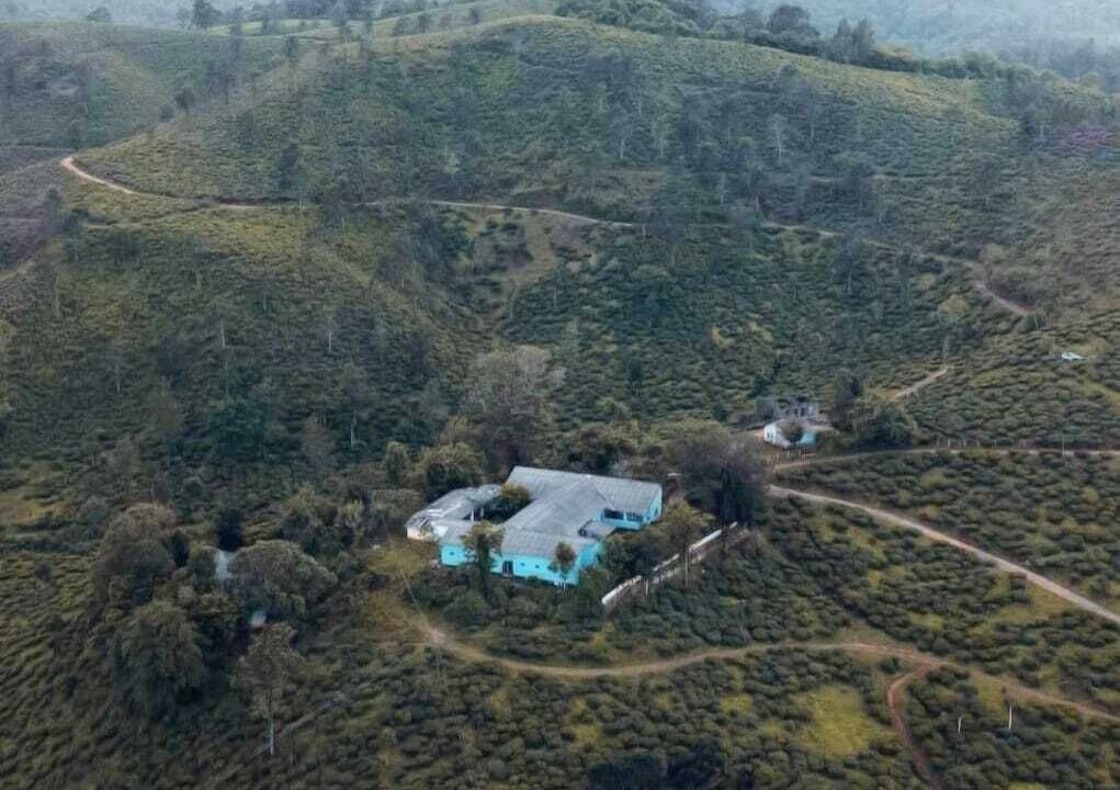 Photo of Outdoor in Vayittiri