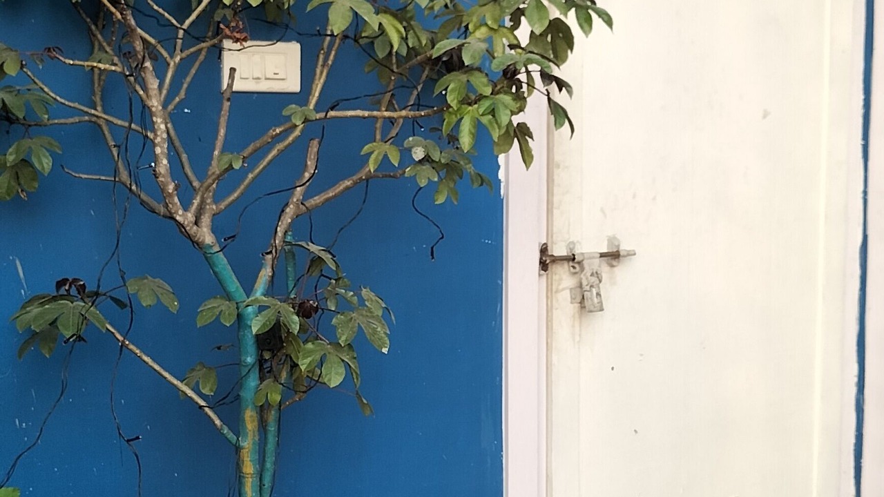 Photo of Outdoor in Sualkuchi
