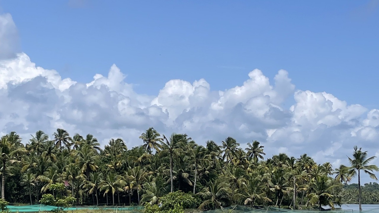 Photo of Outdoor in Irinjalakuda