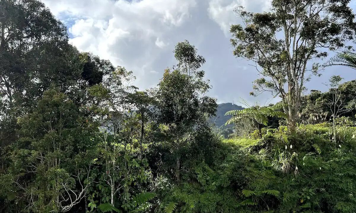 Photo of Outdoor in Tanah Rata