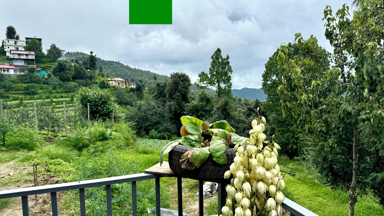 Photo of Outdoor in Kaul