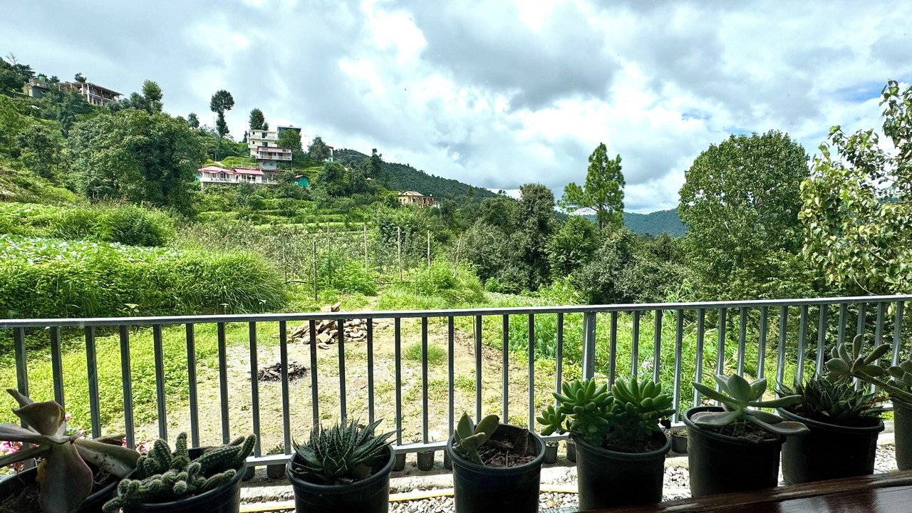 Photo of Outdoor in Kaul
