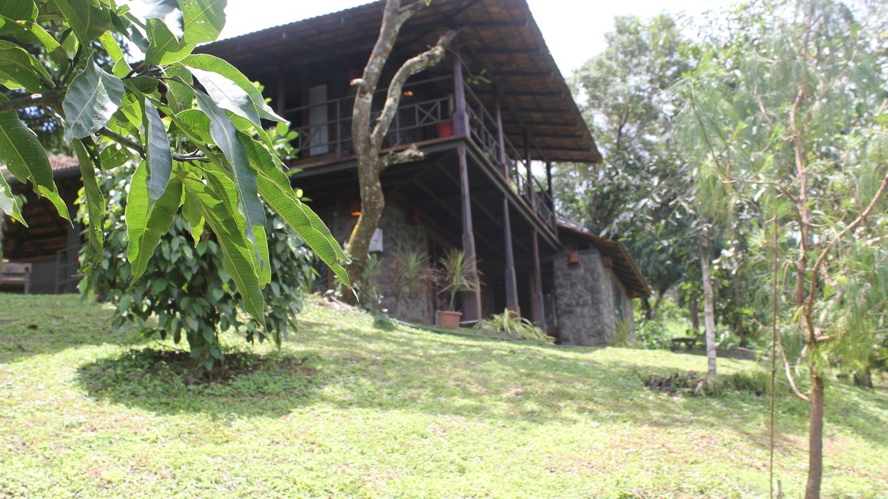 Photo of Outdoor in Udumbanchola