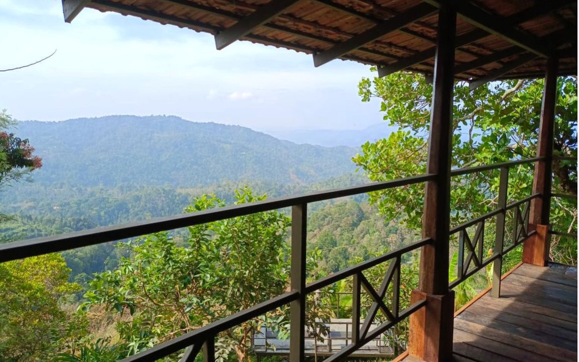Photo of Outdoor in Udumbanchola