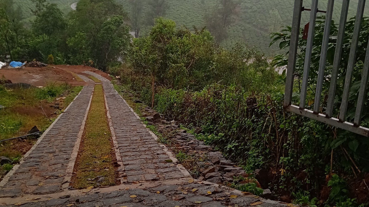Photo of Outdoor in Vagamon