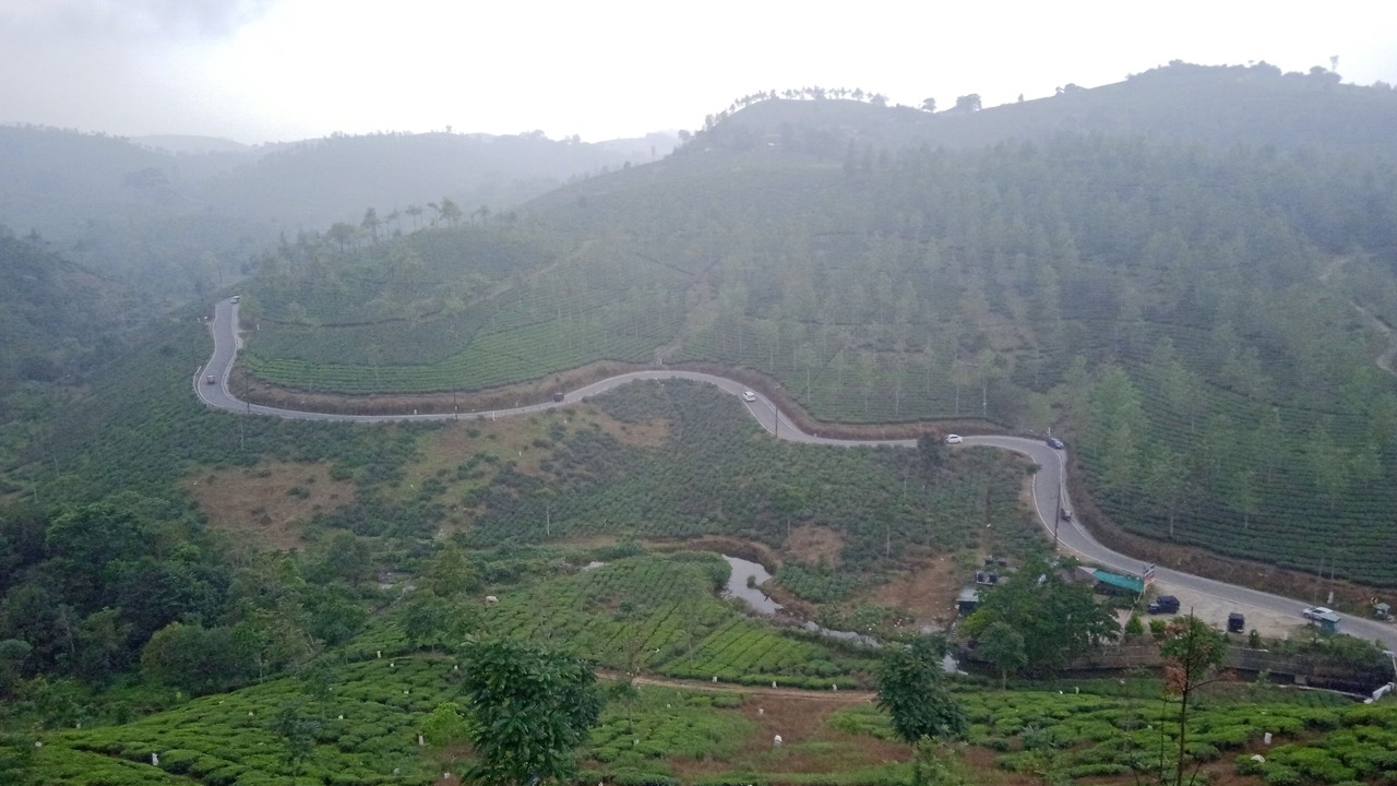 Photo of Others in Vagamon