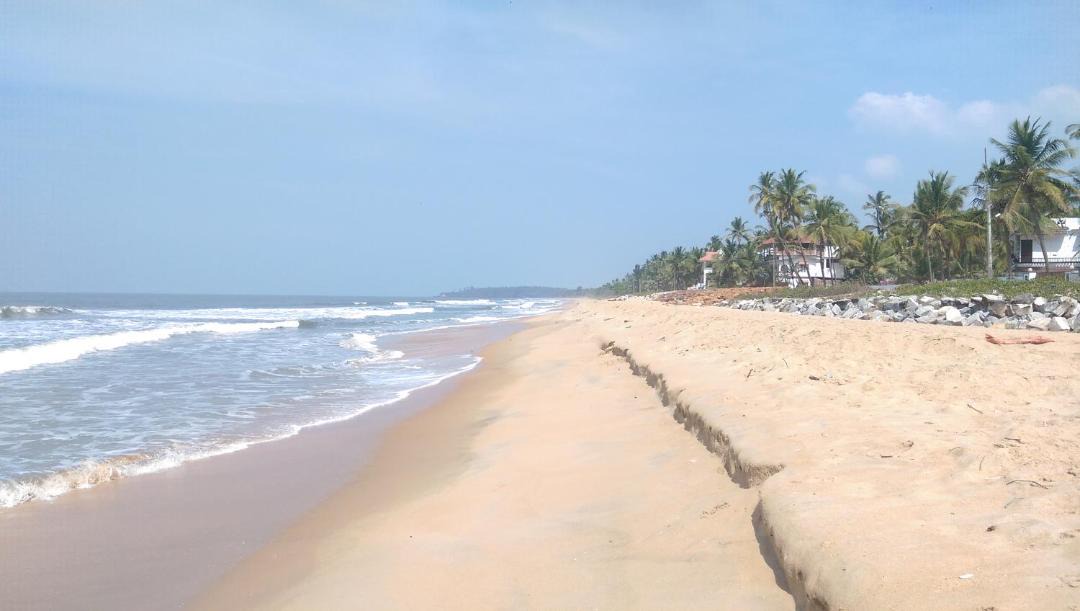 Photo of Others in Kannur