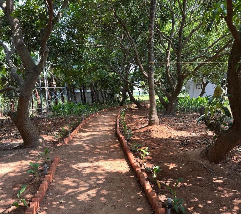 Photo of Outdoor in Quilon