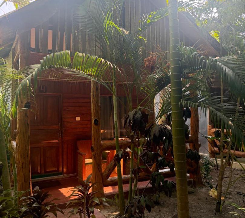 Photo of Others in Havelock Island