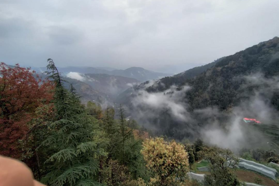 Photo of Others in Chail