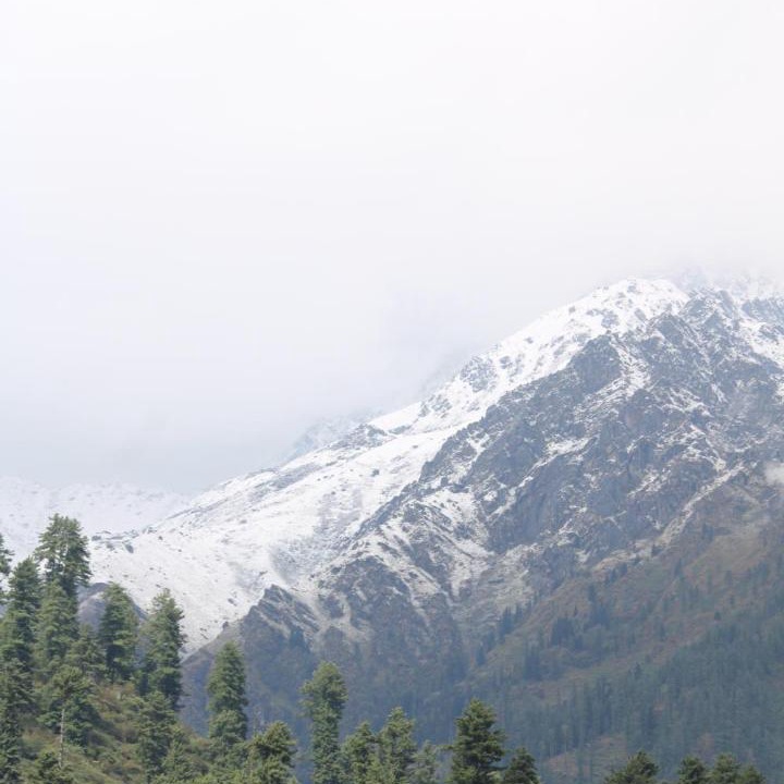 Photo of Others in Kullu