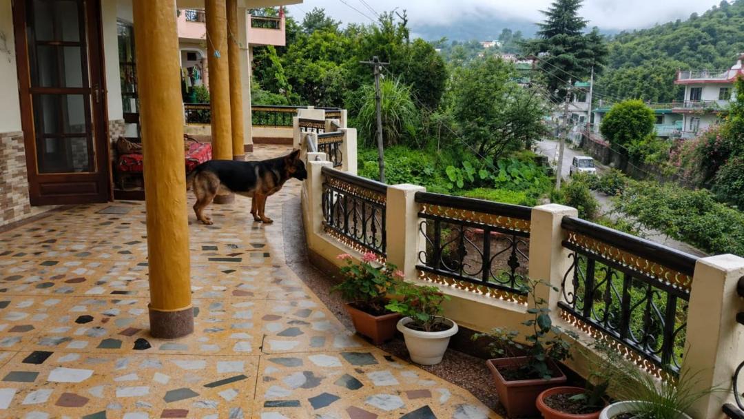 Photo of Patio Balcony in Pithoragarh