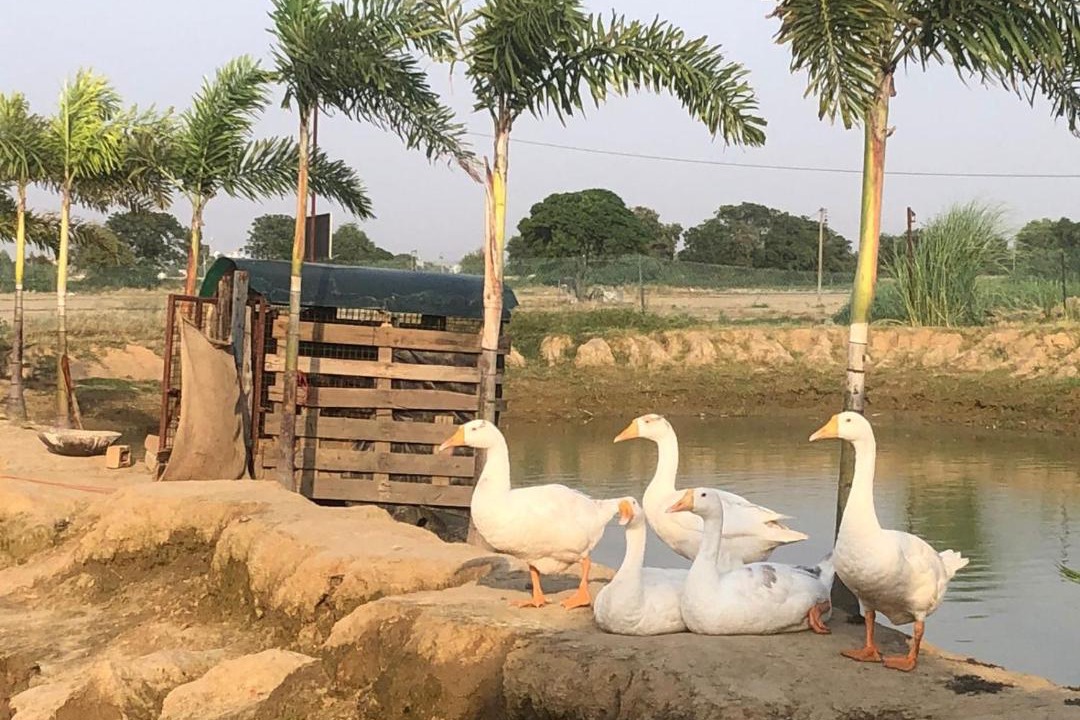 Photo of Others in Jalandhar