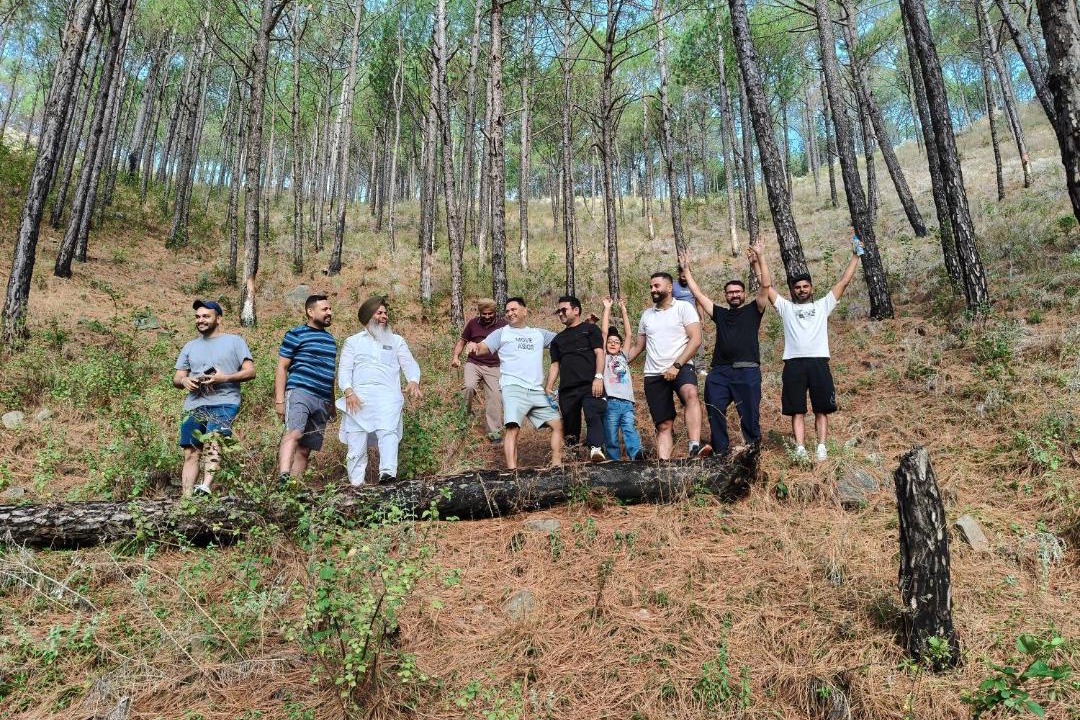 Photo of Others in Kasauli