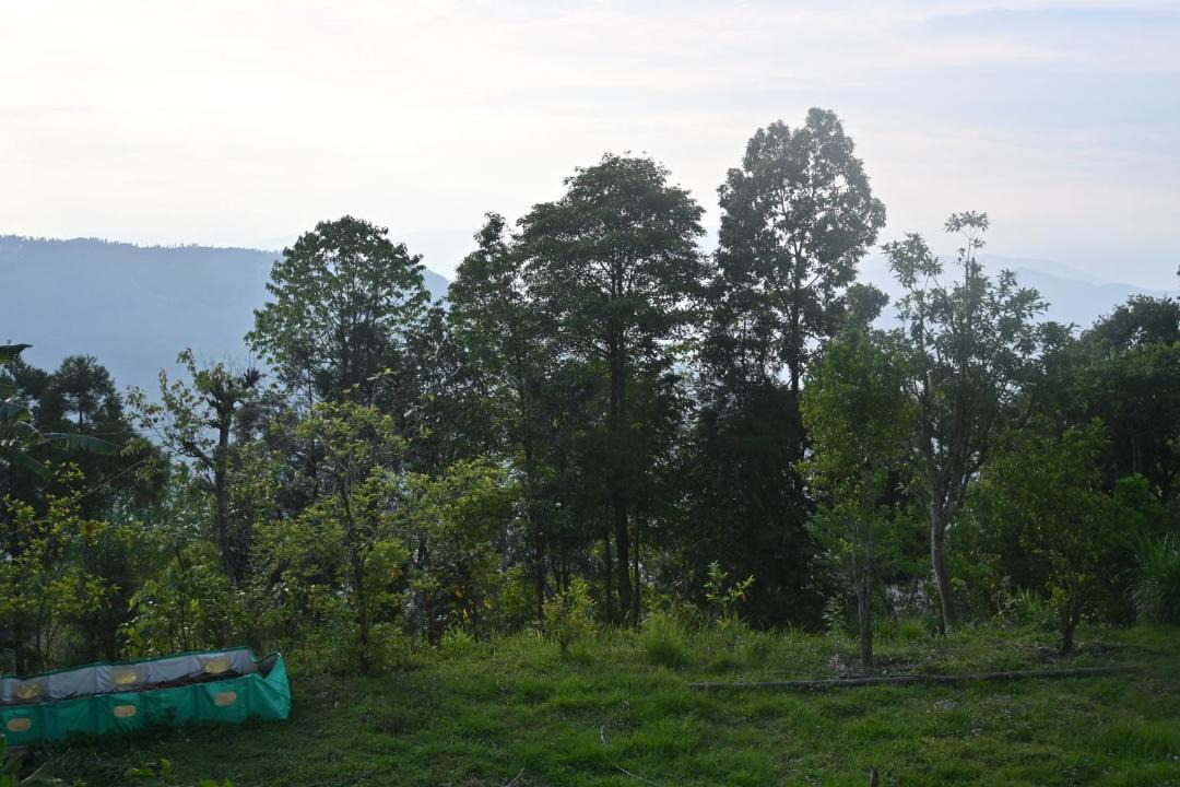 Photo of Others in Turuk