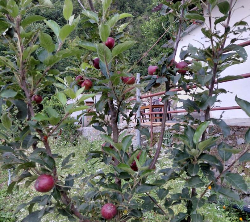 Photo of Outdoor in Chakrata
