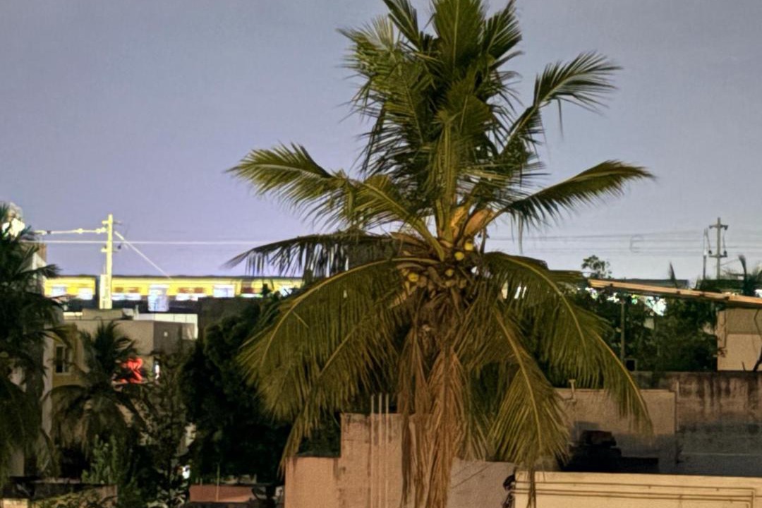 Photo of Others in Nanganallur