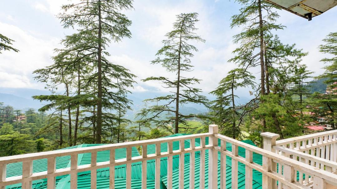 Photo of Others in Shimla