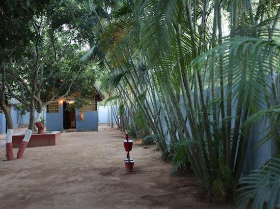 Photo of Others in Poothurai