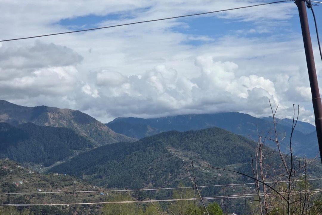 Photo of Others in Patnitop