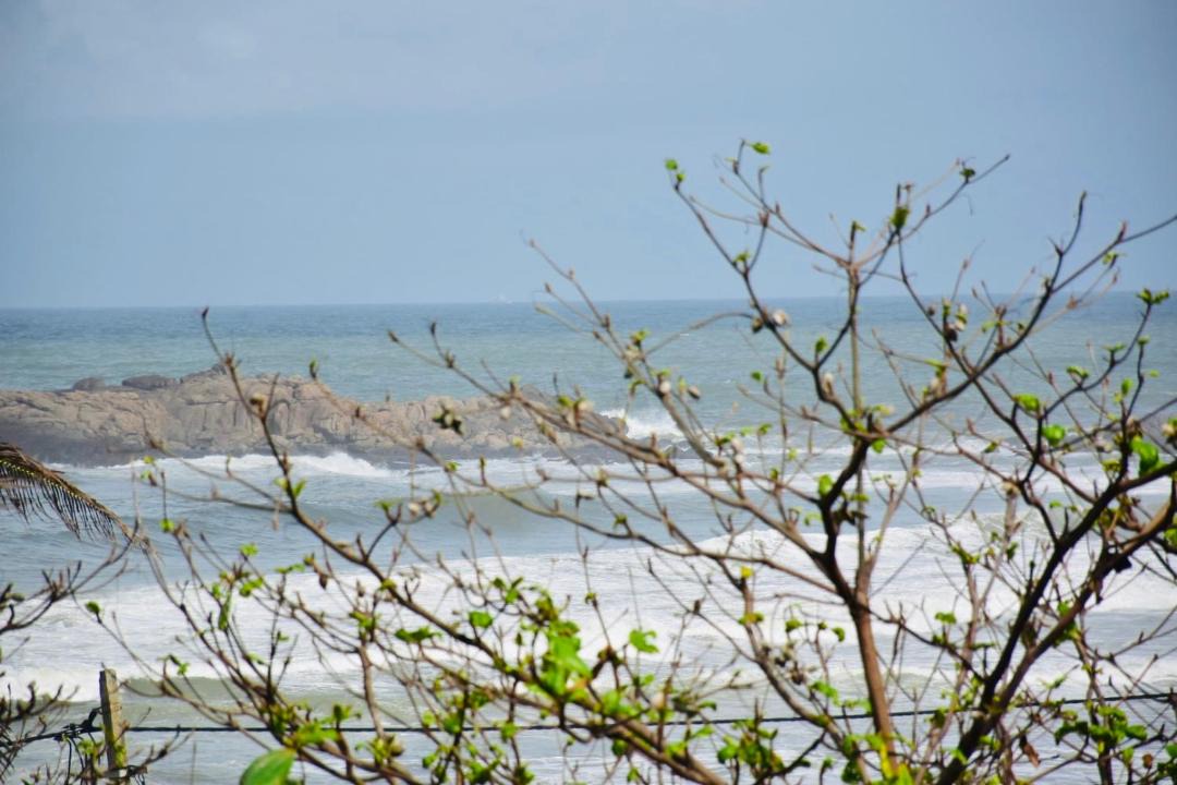 Photo of Others in Kovalam