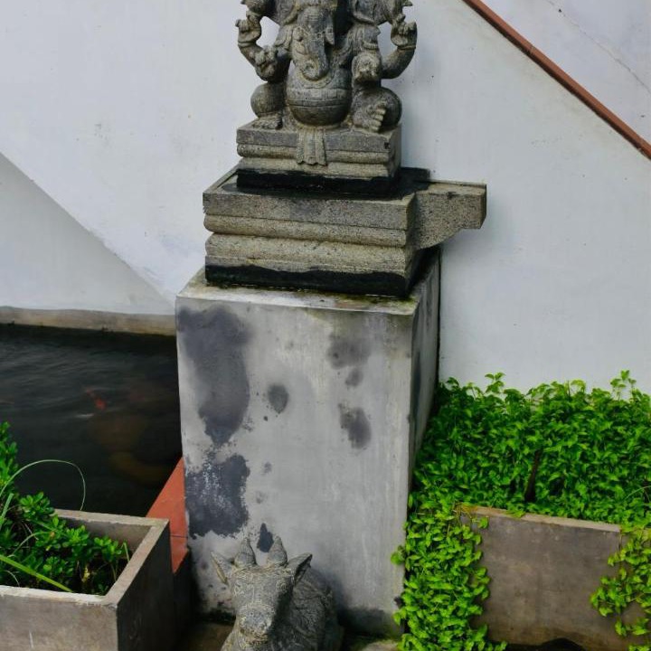 Photo of Others in Kovalam