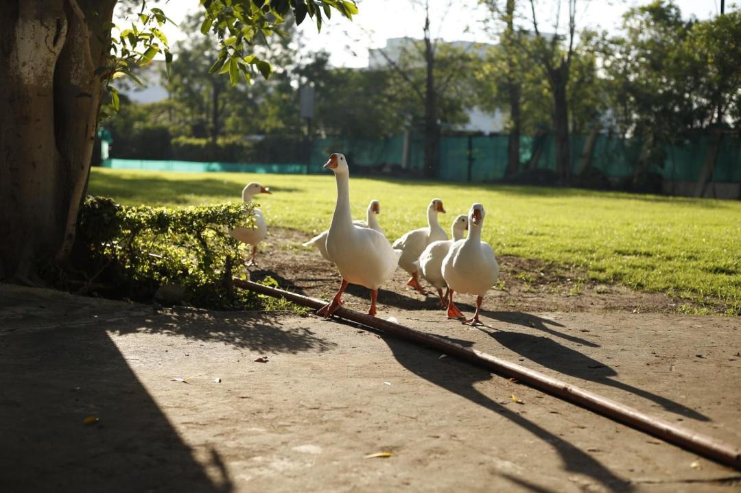 Photo of Others in Indore