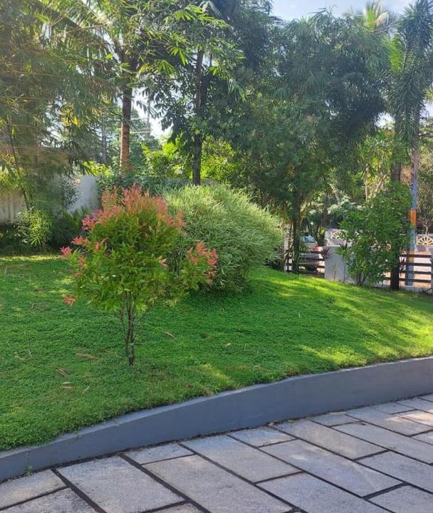 Photo of Outdoor in Angamali
