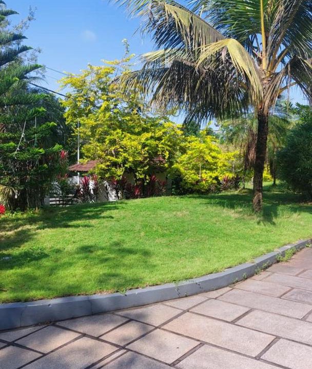 Photo of Outdoor in Angamali