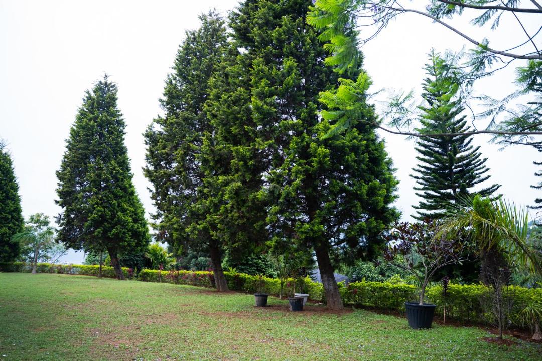 Photo of Outdoor in Ri-Bhoi