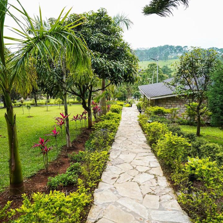 Photo of Outdoor in Ri-Bhoi
