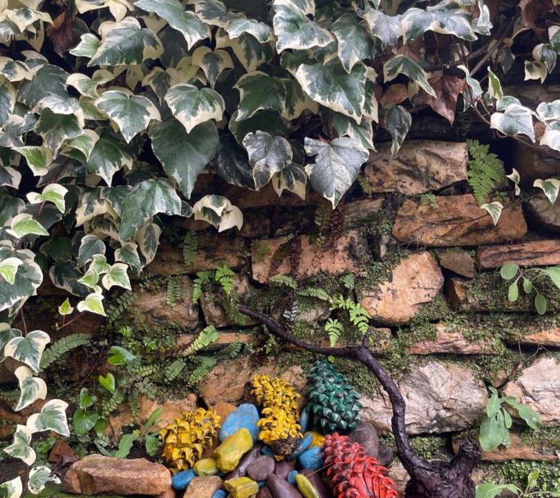 Photo of Others in Majkhali