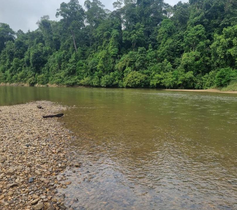 Photo of Others in Kuala Tahan