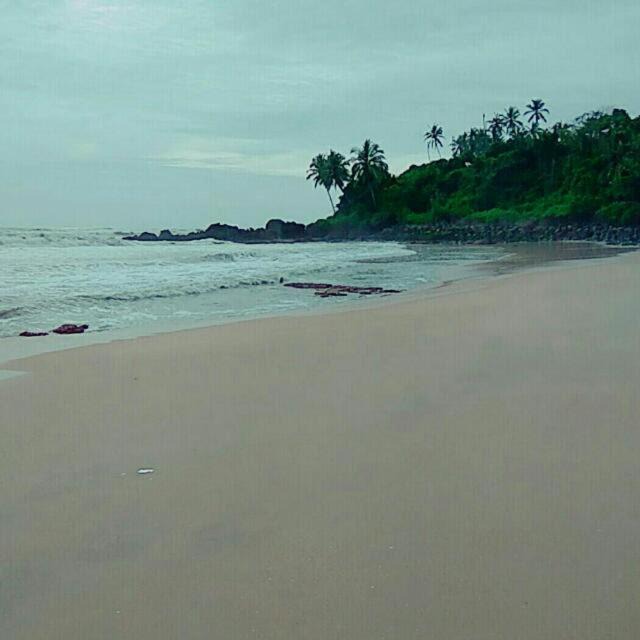 Photo of Others in Kannur