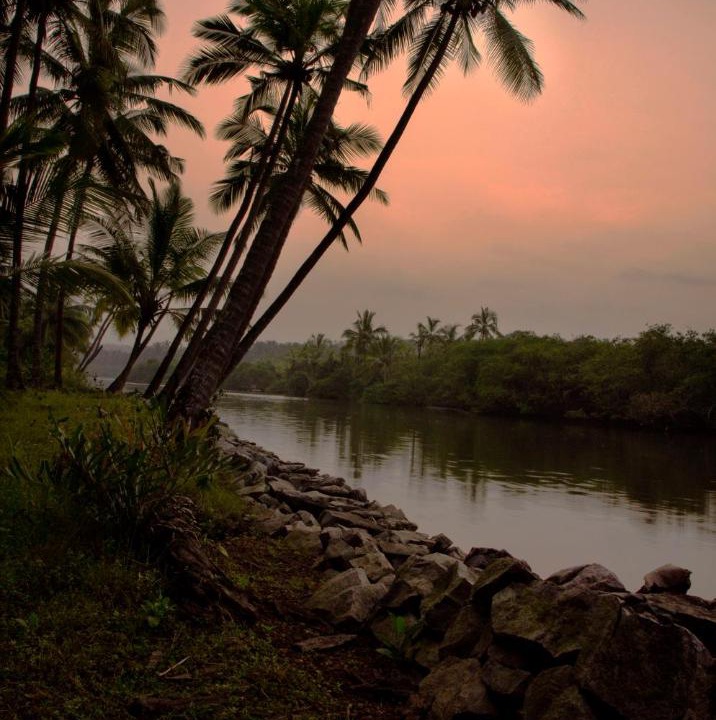 Photo of Others in Kannur