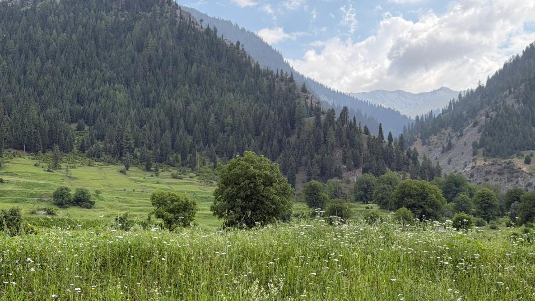 Photo of Others in Gulmarg