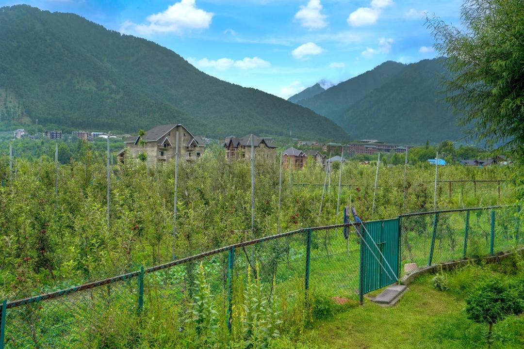 Photo of Others in Srechan