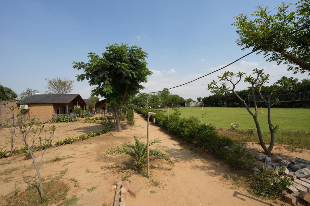 Photo of Others in Palwal