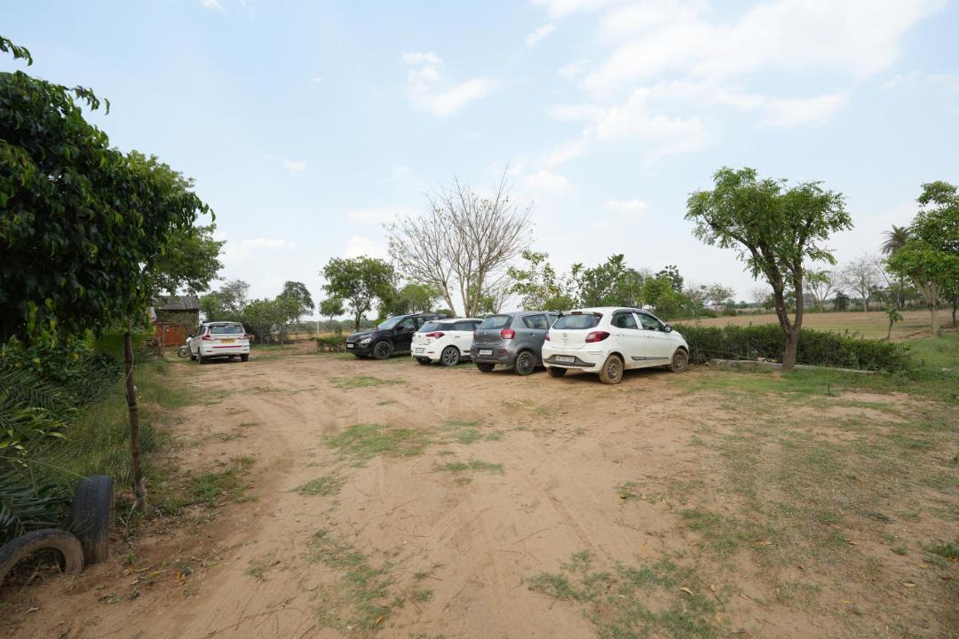 Photo of Others in Palwal