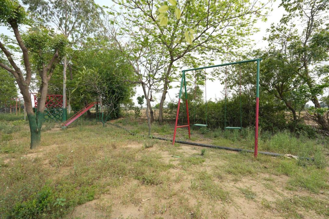 Photo of Outdoor in Palwal