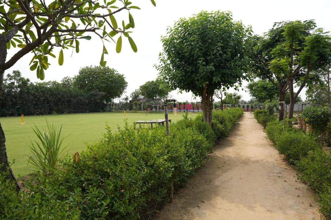 Photo of Outdoor in Palwal
