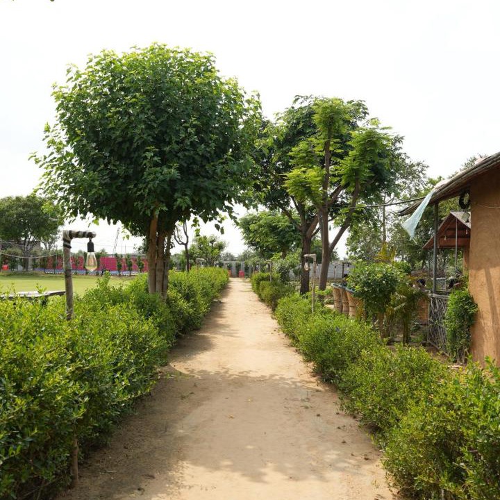 Photo of Others in Palwal