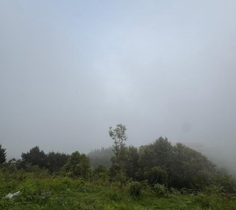 Photo of Others in Mirik
