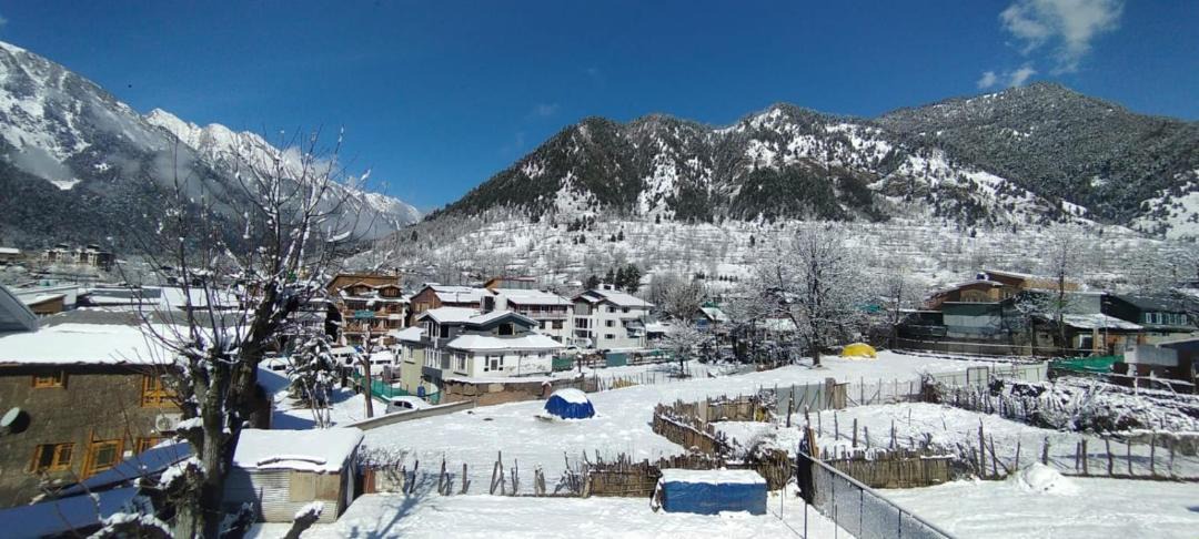 Photo of Others in Laripora