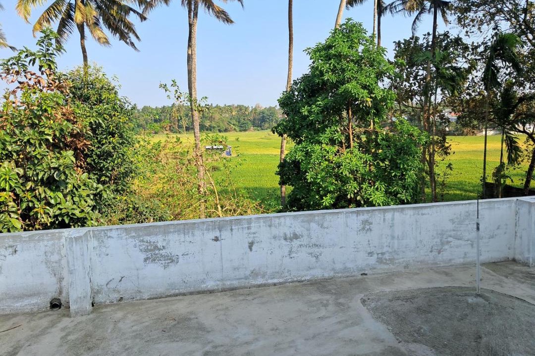 Photo of Others in Irinjalakuda